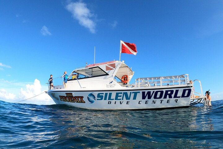 Guided Shallow 2 Tank Dive Trip for CERTIFIED SCUBA DIVERS ONLY! - Photo 1 of 7